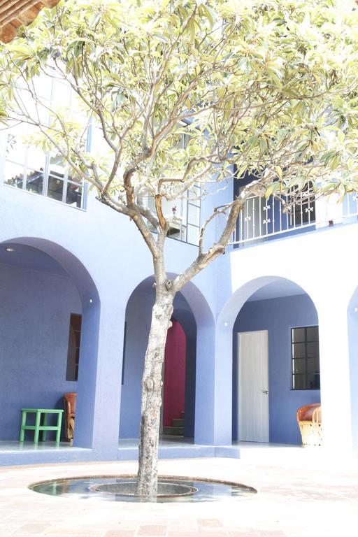 La Betulia Bed And Breakfast 오아하카주 객실 사진